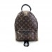 Louis Vuitton Palm Springs PM